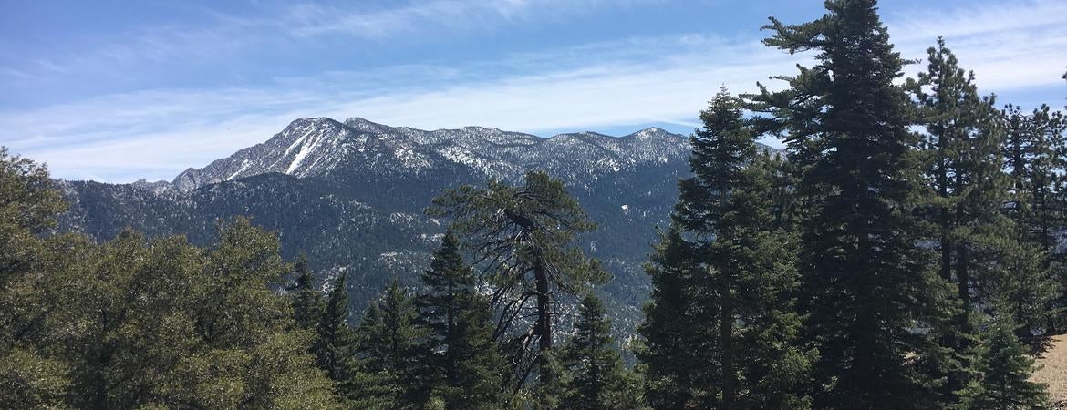 A picture of the San Jacinto Mountains
