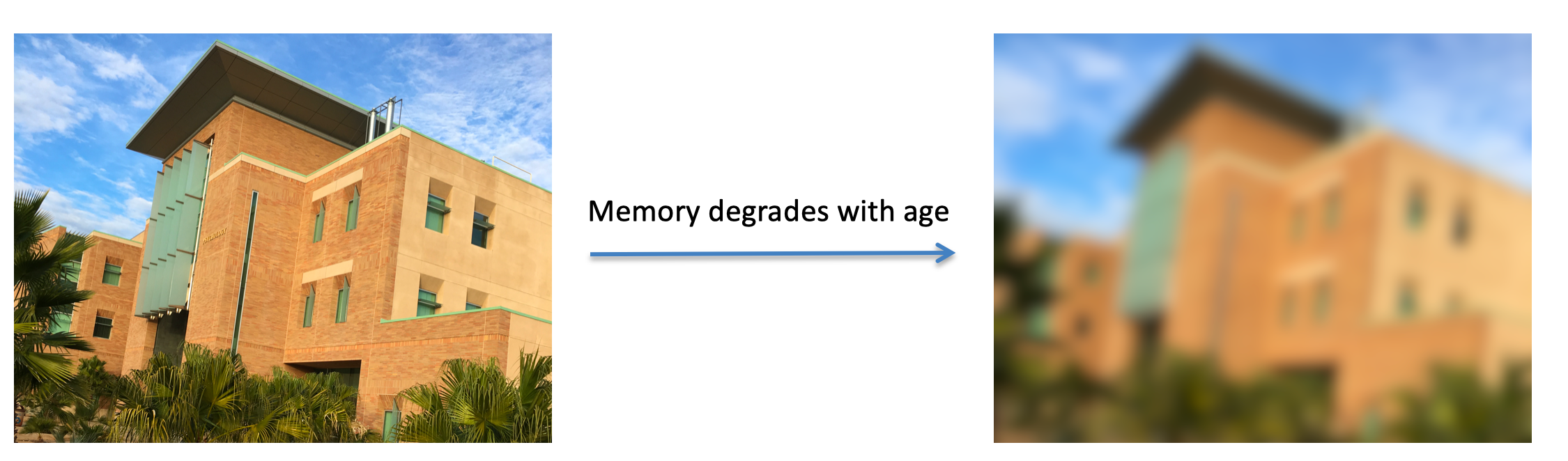 Memory degrades with age