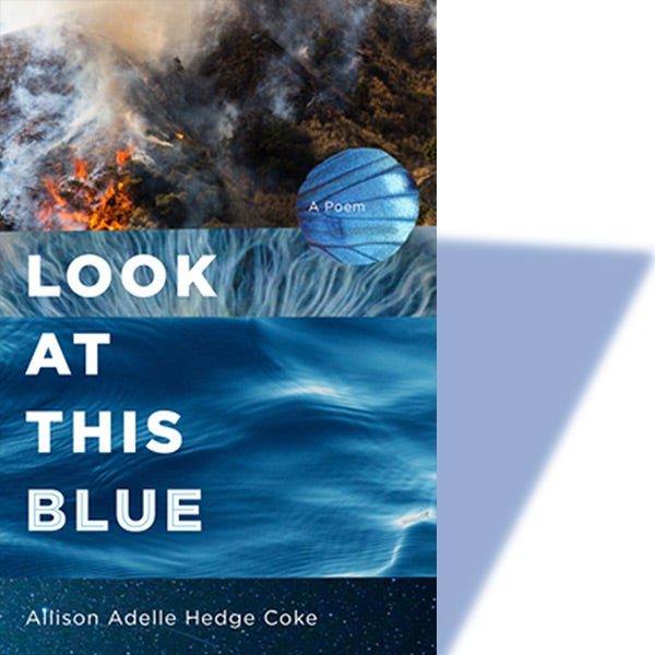 “Look at This Blue” by Allison Hedge Coke