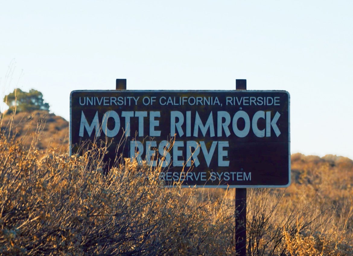 Sign reading: University of California, Riverside - Motte Rimrock Reserve