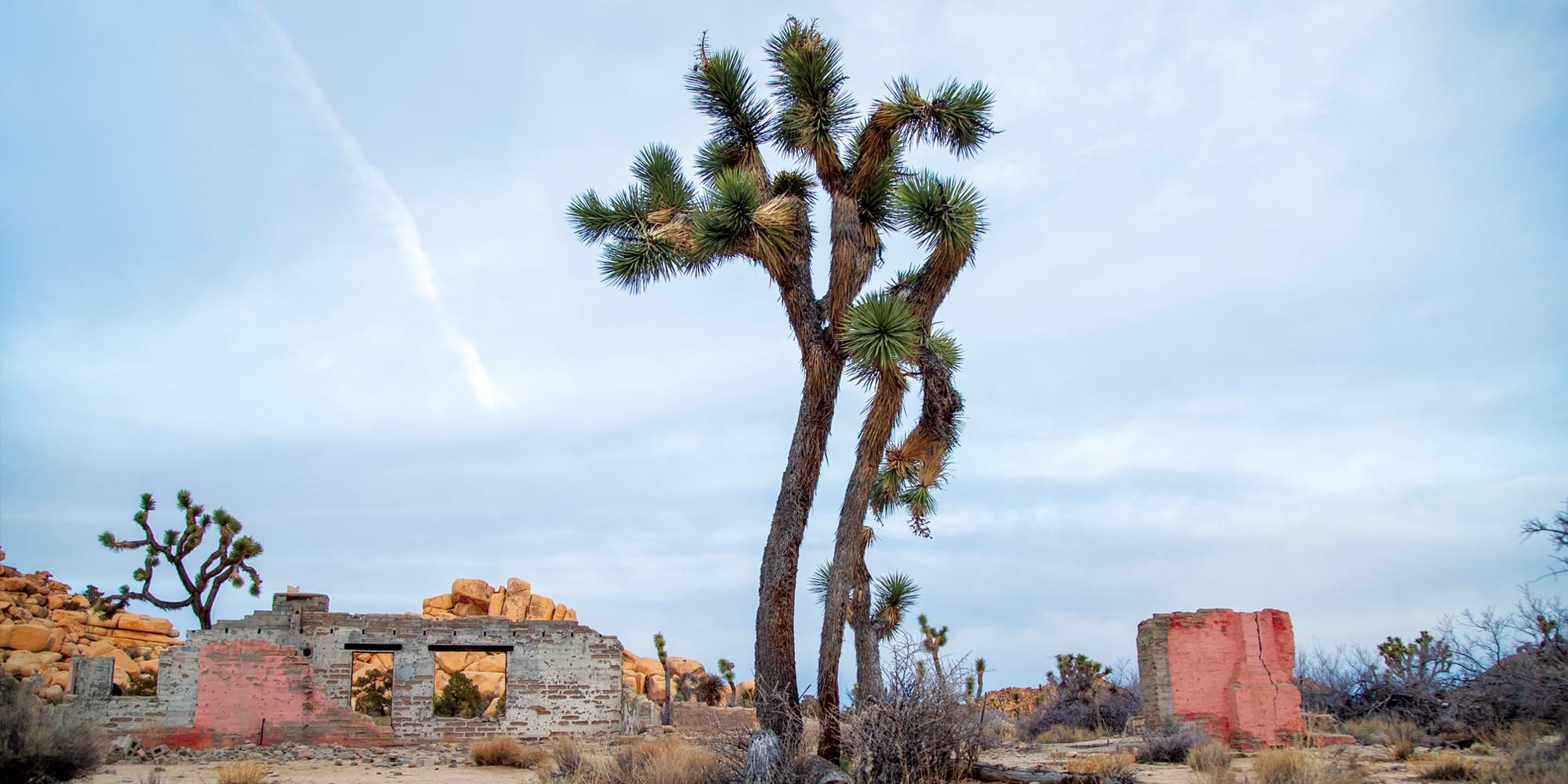 The ruins of the home of Signe and Charles Ohlson in Lost Horse Valley, which was built on the former property of the disgraced ex-sheriff Worth Bagley, who died in 1943.