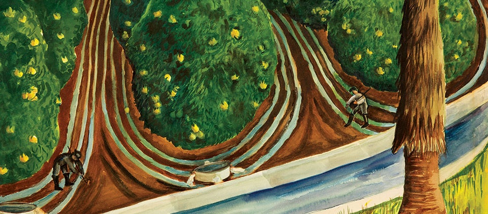 Illustration Pomeroy, “Irrigation,” 1937.