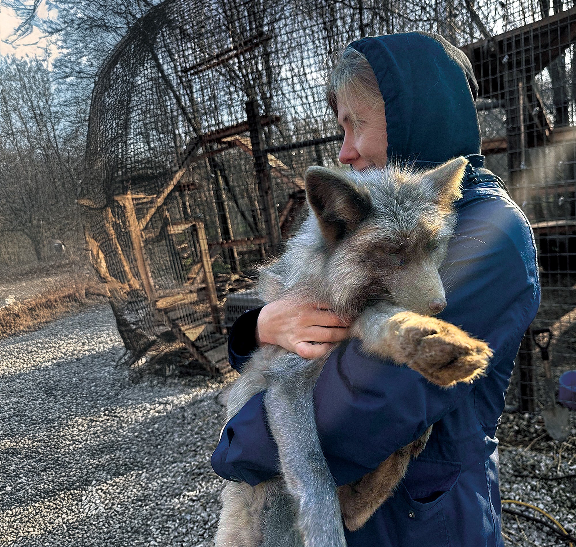 Armstrong holding a fox named Smoky Armstrong holding a fox named Smoky