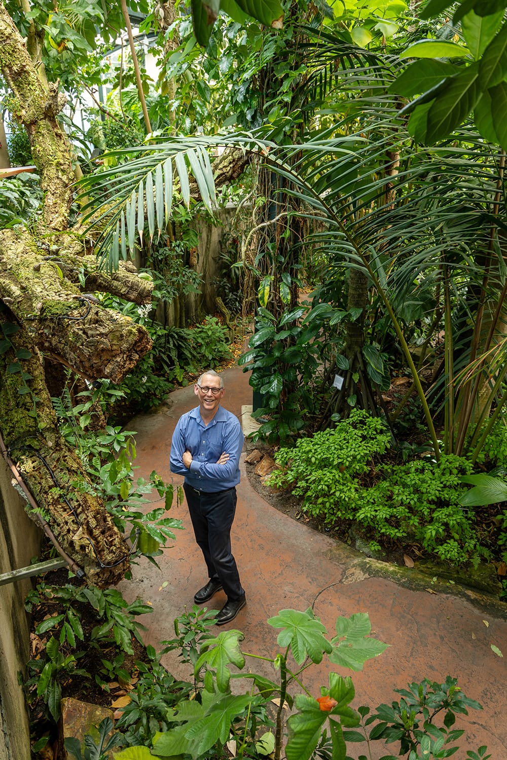 Daniel Lewis with trees inside the Huntington Library