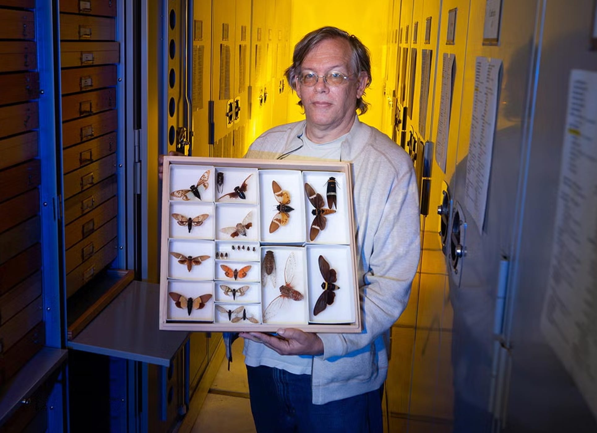 UCR Magazine presents: The Human Search Engine of the Insect World