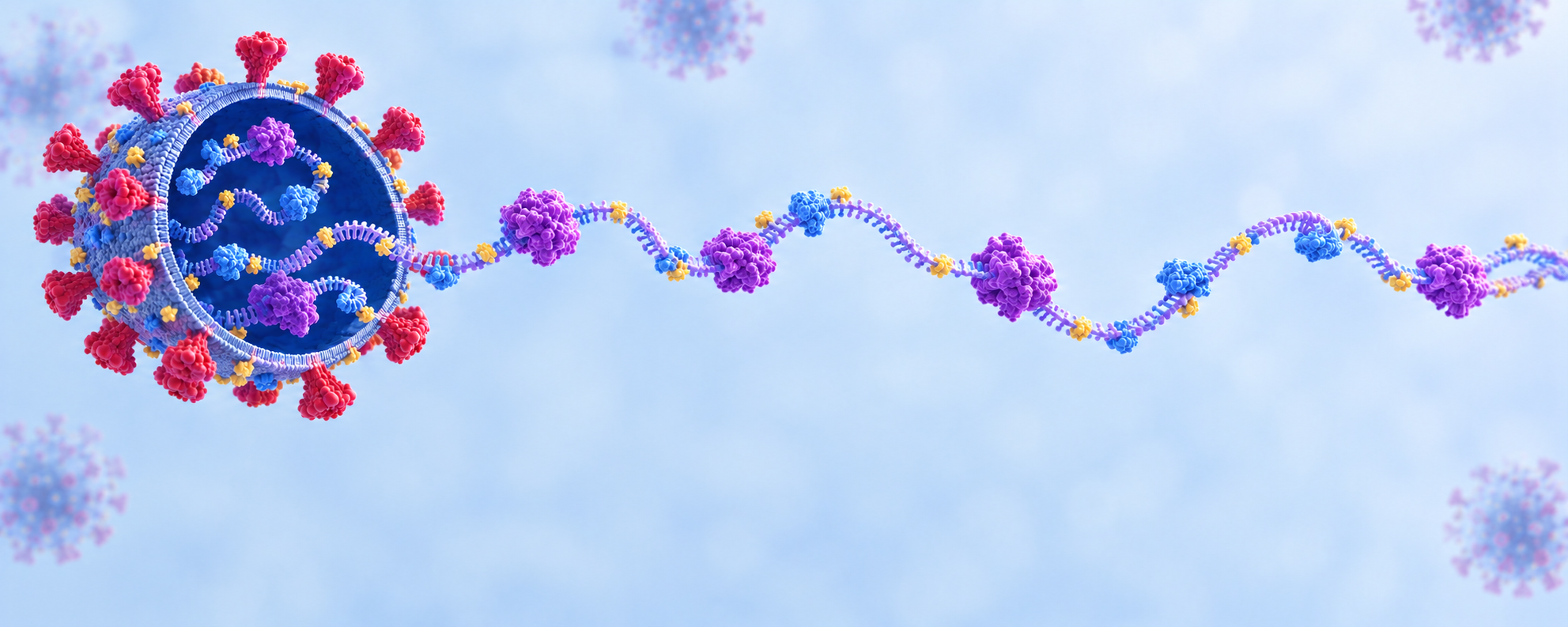 RNA-protein interactions could lead to new coronavirus drug targets