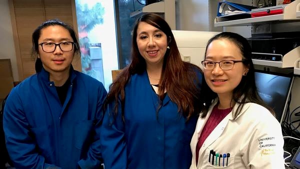 Researchers in Sika Zheng's lab