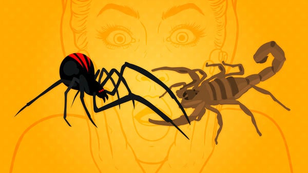 Thumbnail
