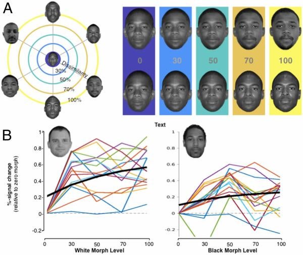 Experimental design of the adaptation experiment