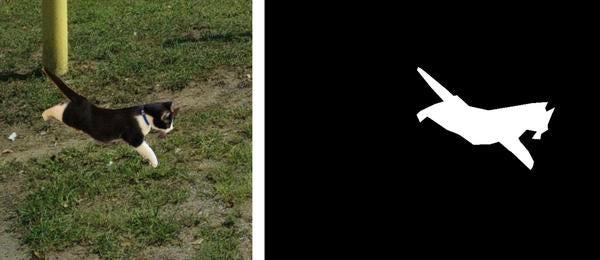 Boundary of a cat inserted into an image