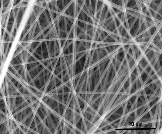 Scanning electron microscope image of nanomaterial for energy storage made from recycled plastic bottles