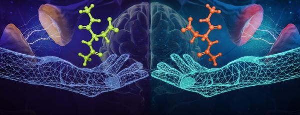 Isomers of tau protein