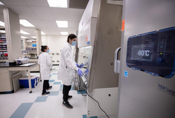 Community college transfer students accepted to UCR can now apply for a summer research internship and receive a $5,000 stipend. (UCR/Stan Lim)