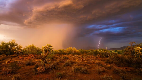 rainy day in the desert