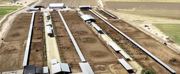 An aerial view of a dairy farm in Southern California