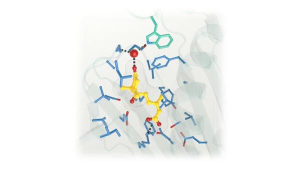 sensor molecule