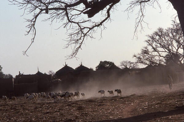 Sahel dust