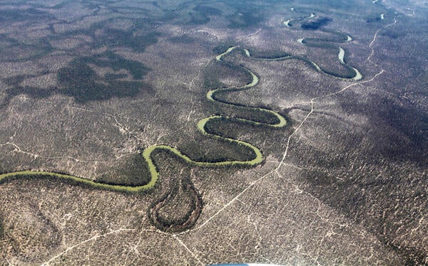 Murray-Darling basin