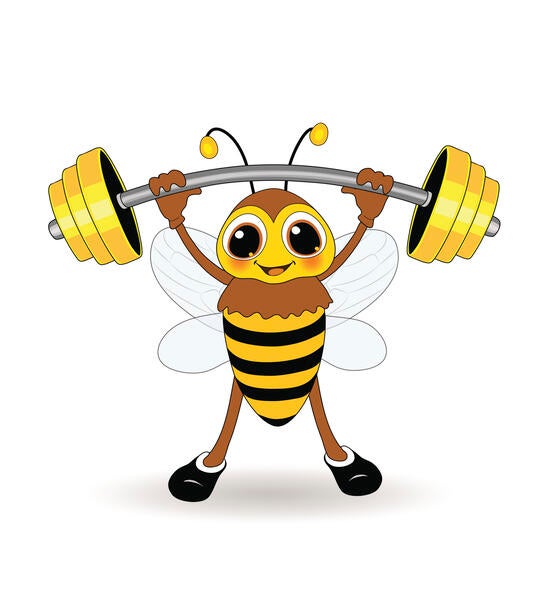 muscle bee