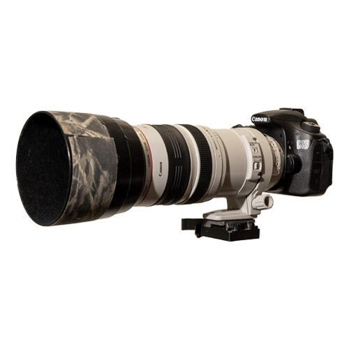 Canon 60D Camera UCR News UC Riverside