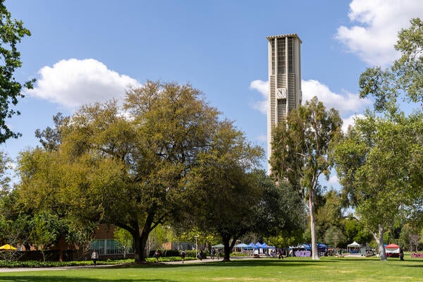 Pierce Lawn on campus