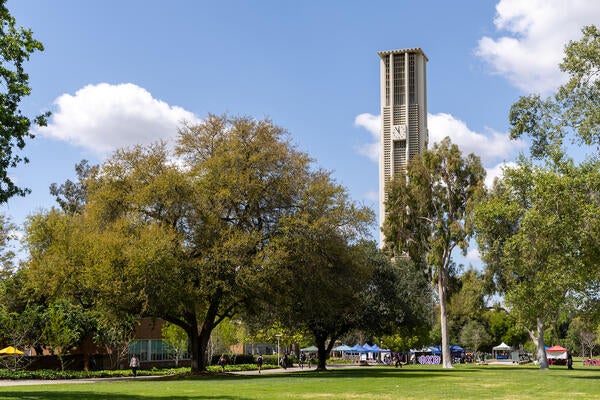 Pierce Lawn on campus