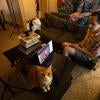 Johnny Macias, '19, waits to connect his roommate, Winter Lawson, in their apartment along with their cat, Gadget, on Friday, June 12, 2020 in Riverside. Lawson, a theatre major, participated in a live virtual culmination celebration organized by the Department of Theatre, Film, and Digital Production. Instead of a theater filled with an audience, Lawson sang "Dentist!" from "Little Shop of Horrors" in they's apartment while the campus remained closed due to the novel coronavirus.  (UCR/St