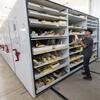 French pulls out items from shelves at the lab containing, skulls, bones, horns, and other animal parts.