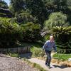 Lewis strolls through the Japanese garden at the Huntington.
