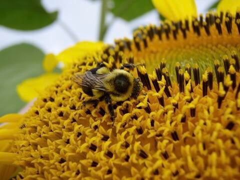 thumb_P9171674_1024.jpg?itok=U1S0zwgB