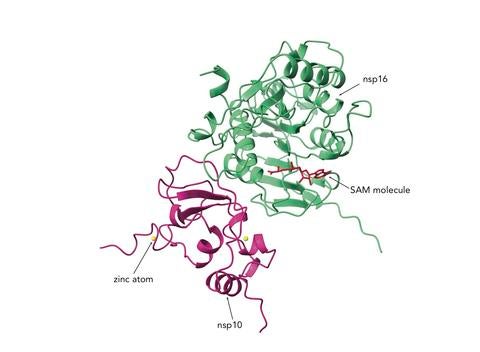 Protein complex Protein complex