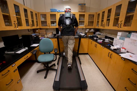 Cardullo running on the treadmill in his lab