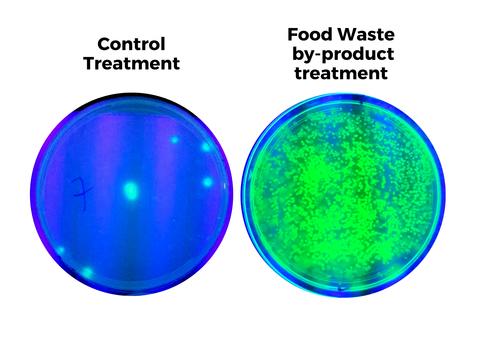 beneficial bacterial growth with treatment