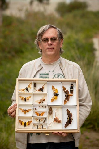 Doug Yanega holds collection of cicadas