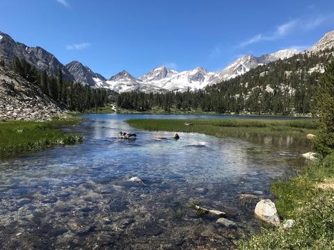 渓流は気候変動にどう影響するか(How mountain streams signal climate change)