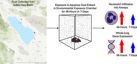 Graphical abstract Salton Sea dust research