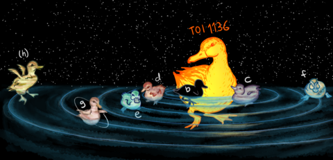 TOI-1136 system imagined as ducks