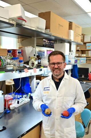 Adam Jozwiak in his lab with potatoes