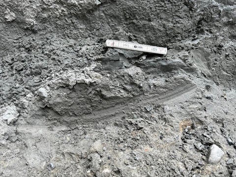 Curved scratches on the Alpine Fault