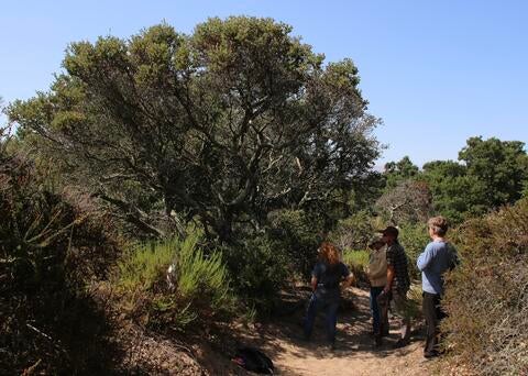 research team in the field