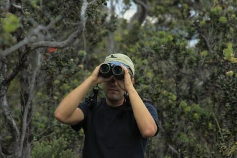 David Rankin searching for nests in Hawaii