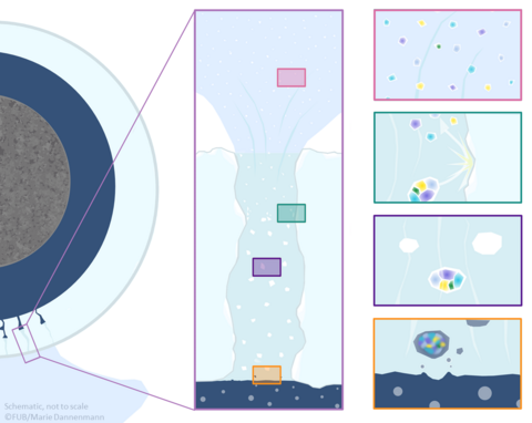Salt segregation process on Enceladus
