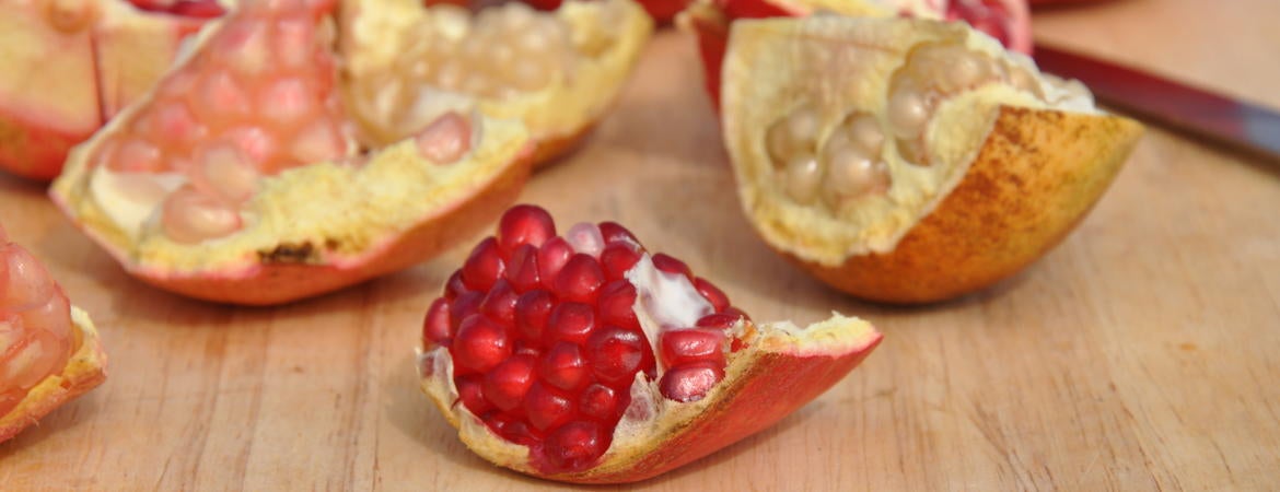 A picture of pomegranate varieties grown at UCR