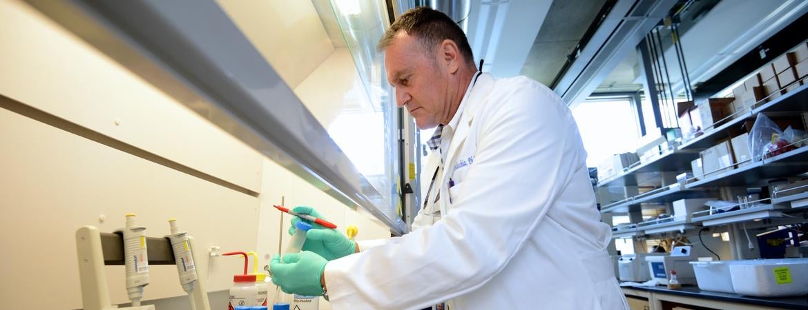 Maurizio Pellecchia in the lab. Credit: Carrie Rosema.