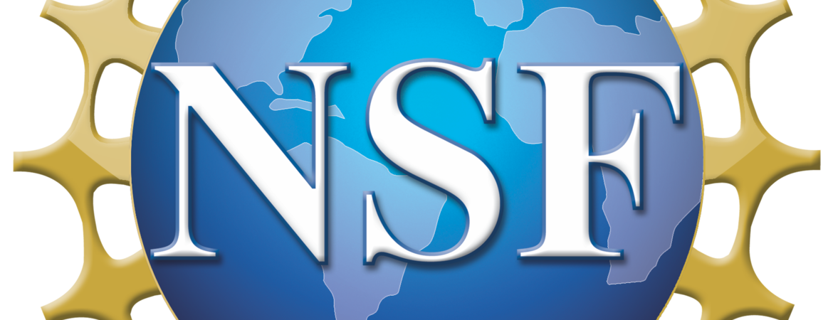 nsf logo
