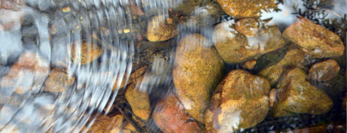 A stock image of clean water over pebbles in a stream