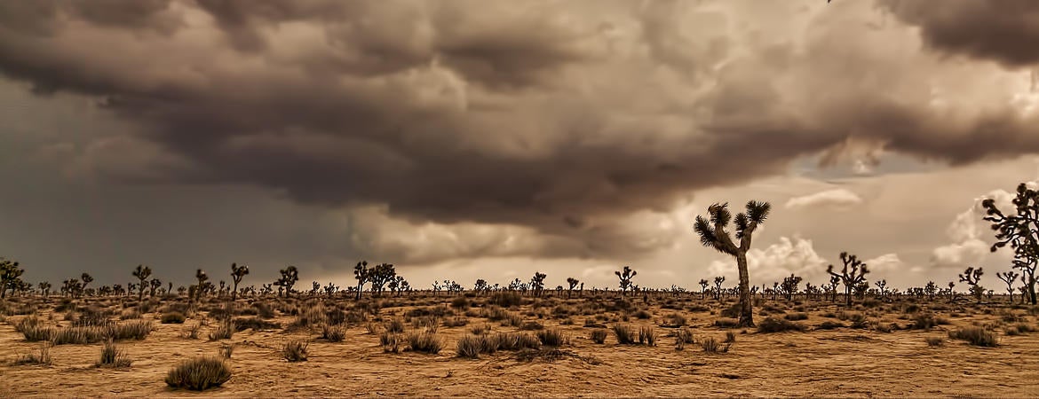 Mojave Desert