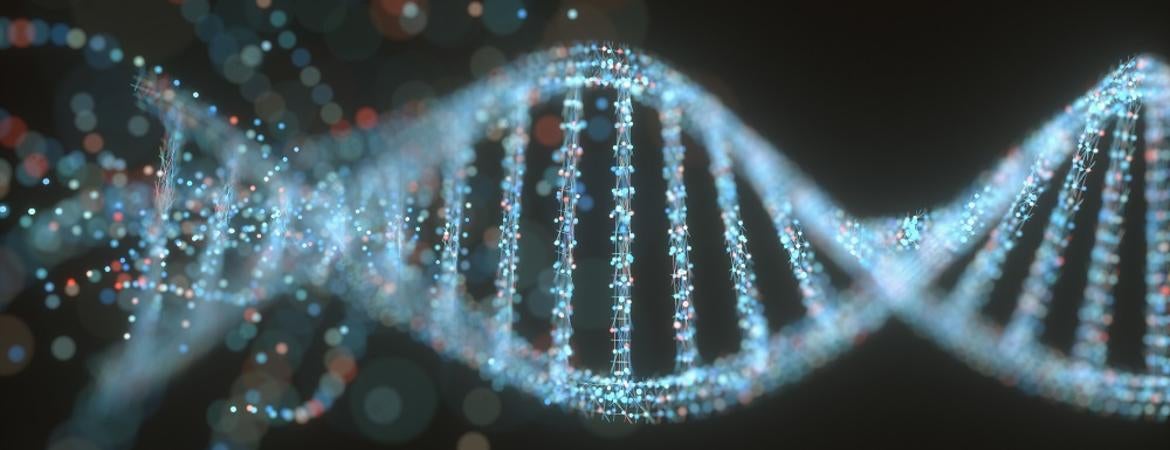 DNA