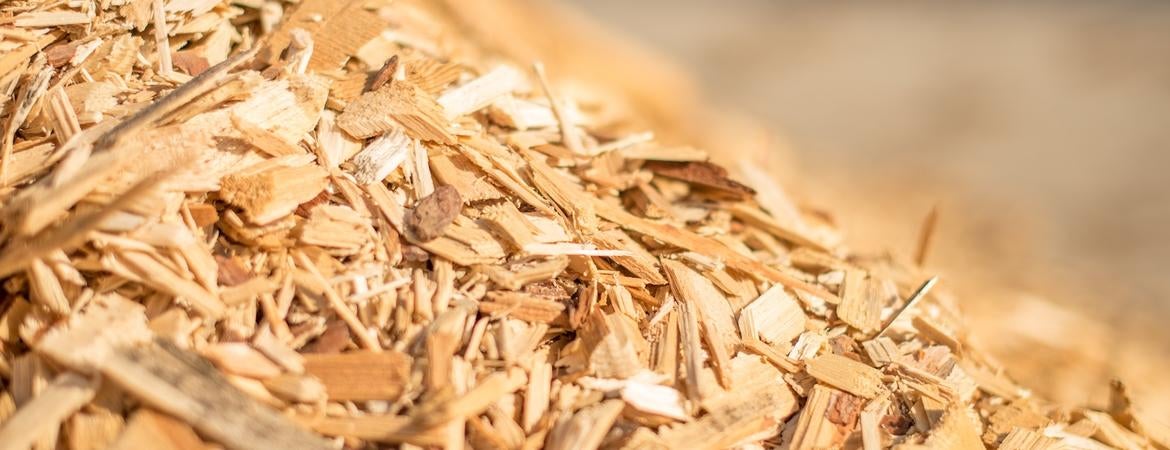 A pile of woodchips, or biomass
