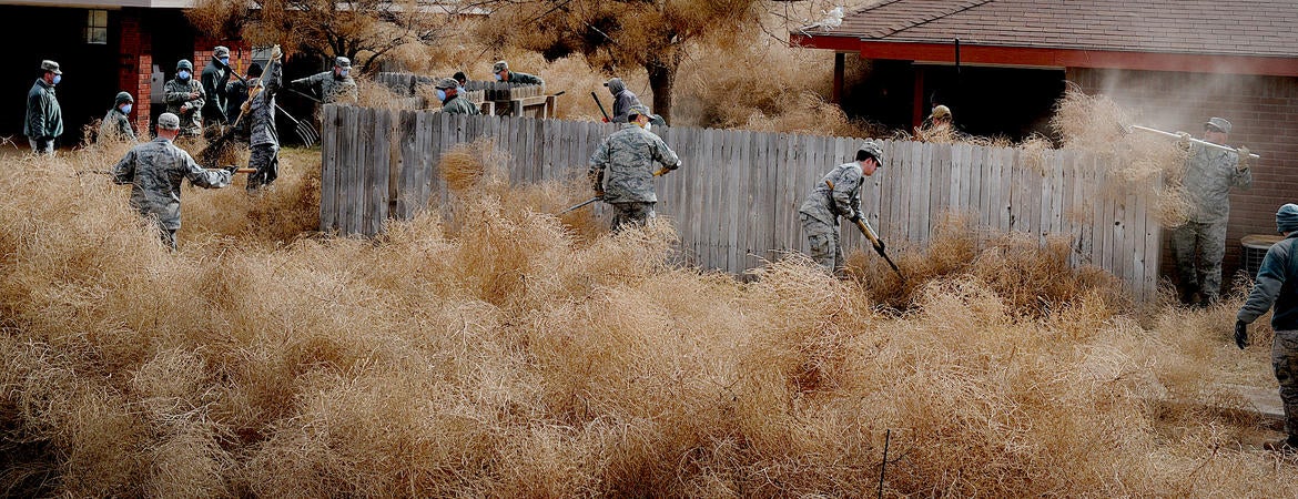 tumbleweed invasion in Clovis, New Mexico